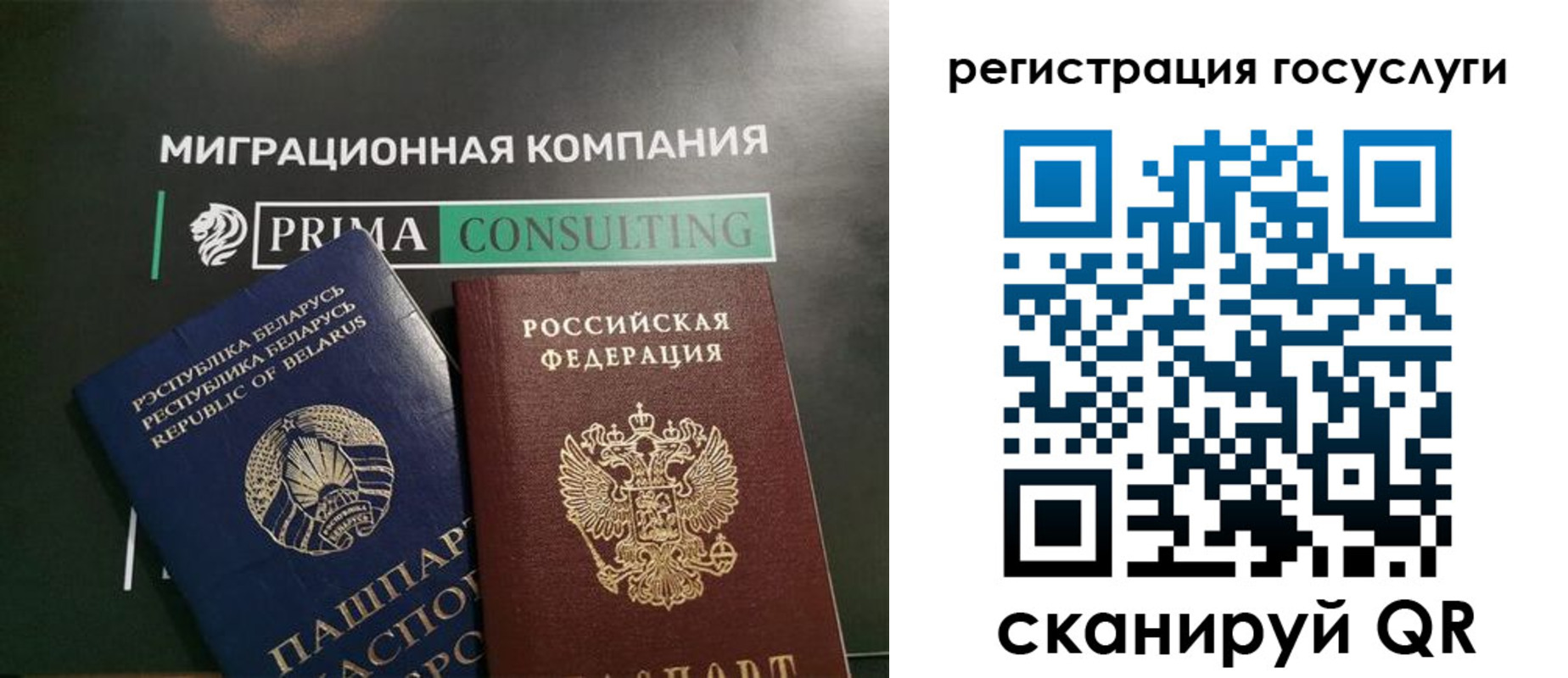прописка гарантия в Ртищево